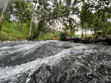 Nehir gölgeli ağaçların arasından akar. Doğa konsepti için güzel bir illüstrasyon