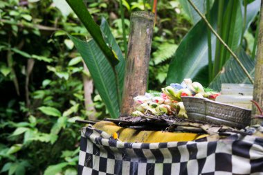 Tanrılara adaklar. Bali Hindu gelenekleri. Orman ve yeşilliklerin arka planı