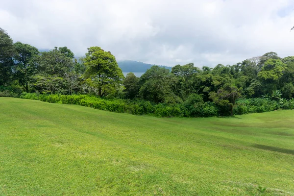 Bedugul Botanik Bahçeleri, Bali, Endonezya (17 Aralık 2021): Ağaçlar boyunca doğal yeşil çimenler uzanıyor. Bali 'de aile tatilleri için toplanma yeri..