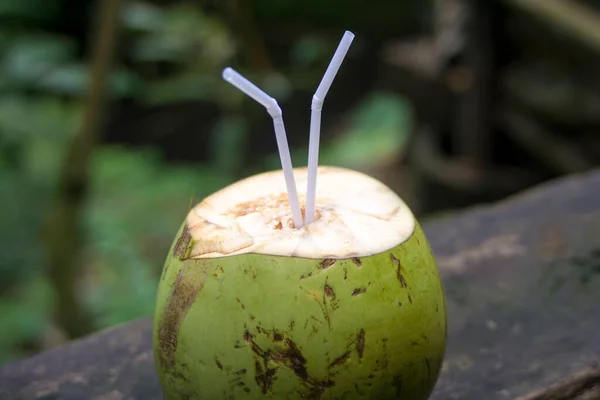 Young coconut is ready to drink with two straws.