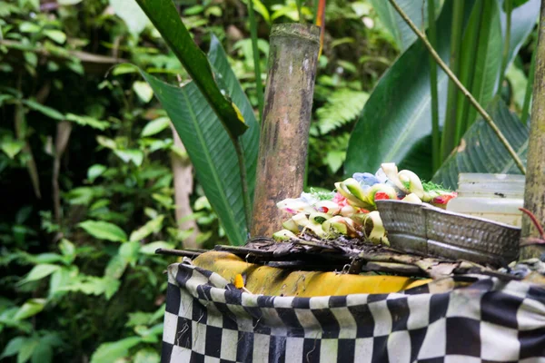 Áldozatok Isteneknek Balinéz Hindu Szokások Erdő Lombozat Háttere — Stock Fotó