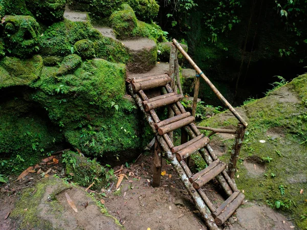 Una Pequeña Escalera Madera Medio Del Bosque —  Fotos de Stock