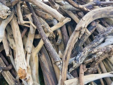 Ahşap kalıntıları sahile vurmuş.