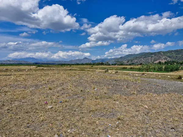 Endonezya 'da tarım dağ manzaralı ve mavi gökyüzüyle