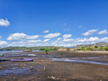 Poja Sahili 'nde huzurlu bir manzara, Bima, parlak mavi gökyüzünün altında geniş, açık bir manzaranın ortasında geleneksel bir ahşap kulübe sergileniyor.