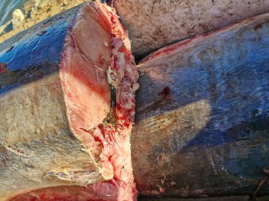 Yeni kesilmiş kılıçbalığı canlı pembe etini satışa sunuyor.