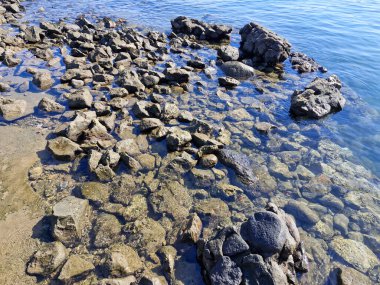 Sakin kıyı kayaları, öğlen güneşinin altında gelgit tarafından nazikçe öpüldü..