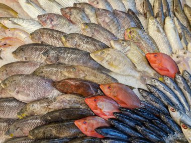 Süpermarkette sergilenen taze balık çeşitleri, seçime hazır..