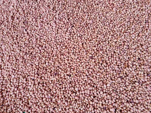 Çiğ fıstıkların arka planı satışa hazır.