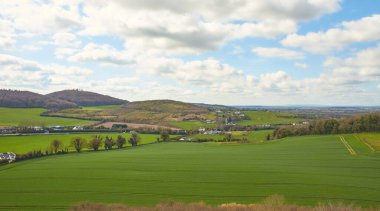 Bahar güneşindeki dağ çayırlarına bak. Üst görünüm