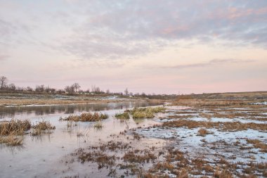 Kışın huş ağacı ve donmuş nehirle güzel doğal manzara.