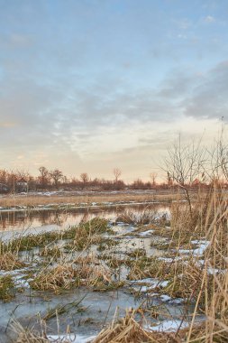 Kışın huş ağacı ve donmuş nehirle güzel doğal manzara.