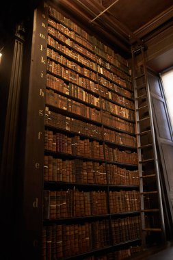 Dublin, İrlanda - 01.02.2024: Eski kitaplar Kells Kitabı 'nda ve İrlanda' nın Dublin kentindeki Trinity College Dublin 'deki Eski Kütüphane turunda kendilerini gösterirler