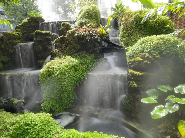 Piękny Wodospad Leśny Pokryty Mchem Małymi Drzewkami Jest Warstwowy Wodospad — Zdjęcie stockowe