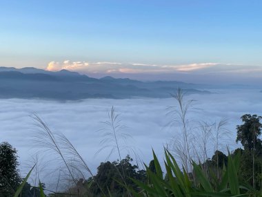 Sabah sisi ve yumuşak güneş ışığı dağ tepeleri boyunca uzanır. Tayland 'ın Yala Eyaleti, Betong' da çimenler ön plandadır..