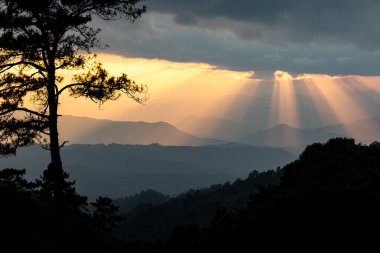 Tropikal yağmur ormanlarında, bulutlu gökyüzünde parlayan güneş ışığıyla dramatik gün batımının doğal görüntüsü..