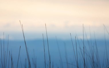 Soft focus on grass with blurry background of blue mountain and orange sky.