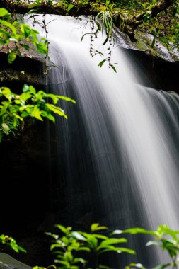 Natural scene of waterfall with long exposure technique inside tropical rainforest after rainfall.