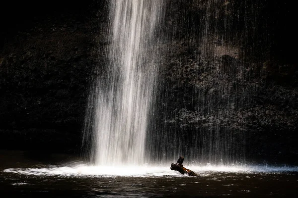 夏季在亚洲热带雨林内带暗洞池塘上泼洒瀑布的长速快门速度技术 — 图库照片