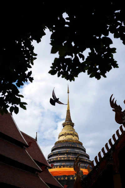 Cena Silhueta Pássaro Voador Fundo Pagode Antigo Dourado Templo Tailandês — Fotografia de Stock