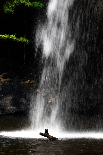 Yazın Asya Nın Tropik Yağmur Ormanlarındaki Karanlık Mağara Ile Gölcüklere — Stok fotoğraf