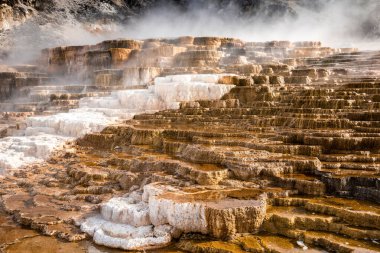 Sıcak sudan çıkan dumanla kaplanmış kalsiyum karbonatla yapılmış Mamut kaplıcaları, Yellowstone Ulusal Parkı, Wyoming, ABD.