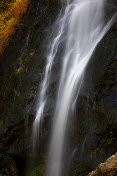 Tropikal Yağmur Ormanlarındaki Yüksek Kaya Şelalesinden Akan Yumuşak Suya Yakın — Stok fotoğraf