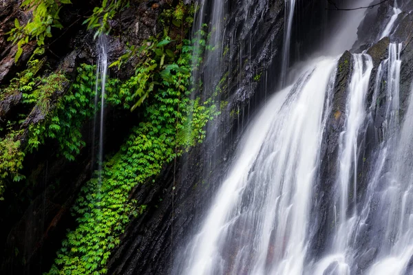 热带雨林内绿叶高岩石瀑布水流顺畅的研究 — 图库照片