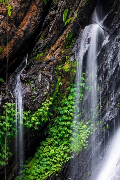 热带雨林内绿叶高岩石瀑布水流顺畅的研究 — 图库照片