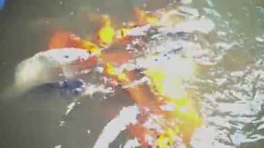 Metin için alanı olan soyut arkaplan