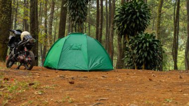 Ormanda kamp yapmak.