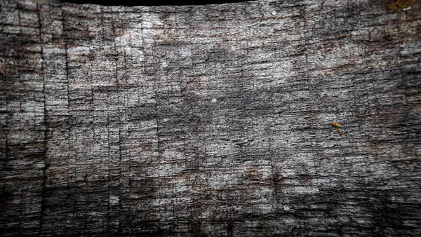 ahşap doku arka plan, ahşap doku