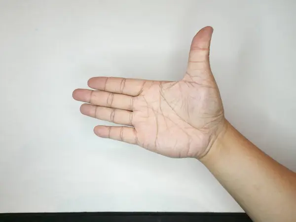 Beyaz arka planda yetişkin bir adamın avuç içi