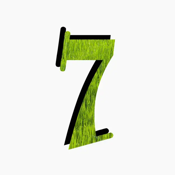 7 numara yeşil yapraklı ve otlu.