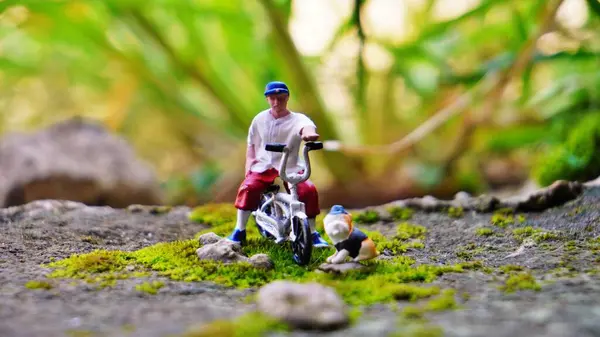 Bahçede bisiklet BMX oynayan bir adam.