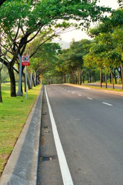 Büyük dallarla kaplı güzel bir yol. Ağaçların arka plandaki tüneline benziyor.