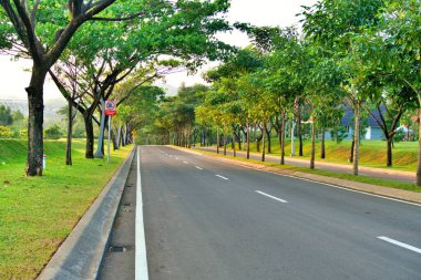 Büyük dallarla kaplı güzel bir yol. Ağaçların arka plandaki tüneline benziyor.