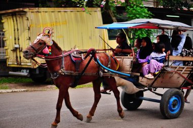 Yolcularla dolu bir at arabası. Geleneksel ulaşım.
