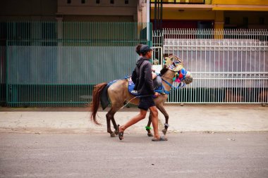 Madalyalı midilli caddeden aşağı iniyor..