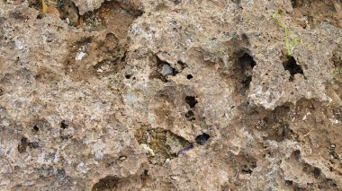 Delikleri ve dokuları olan gözenekli kaya oluşumunu kapat.