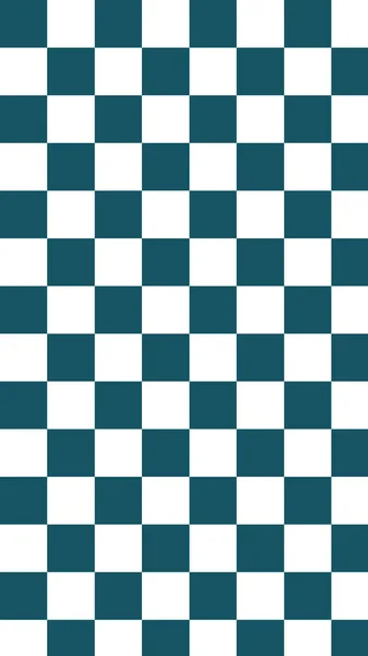 Estetické Roztomilé Svislé Tmavě Modré Bílé Šachovnice Gingham Kostkované Dámské — Stockový vektor