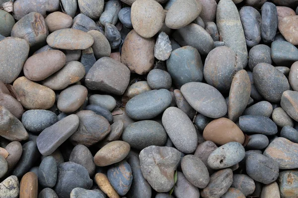 庭の背景にある石の山の閉鎖 — ストック写真