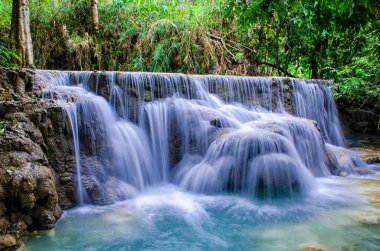 Luang Prabang 'da Sadaka Yürüyüşü, Laos