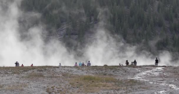 Toeristen Ervaren Majestueuze Stoom Van Thermale Bronnen Van Yellowstone — Stockvideo