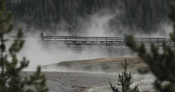 Visitantes Una Pasarela Cubierta Niebla Sobre Las Aguas Termales Yellowstone — Vídeo de stock