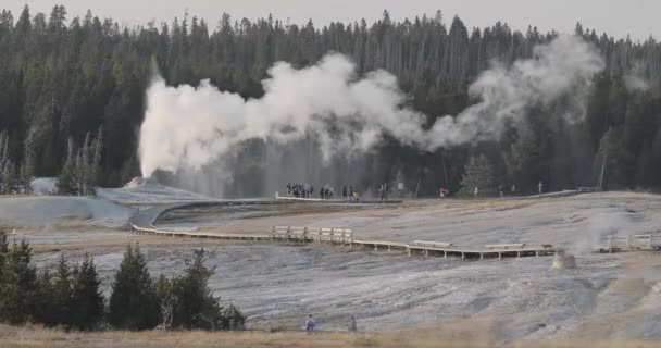 Toeschouwers Staren Naar Natuurlijke Stoombaden Wildernis Van Yellowstone — Stockvideo