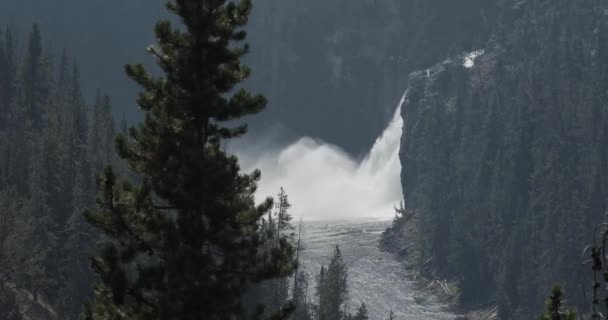 Roaring Waterfall Skjuter Dimma Och Vatten Sprängning Flod Evergreen Forest — Stockvideo