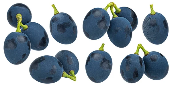 Ciemnoniebieskie Winogrona Izolowane Białym Tle Ścieżką Wycinania — Zdjęcie stockowe