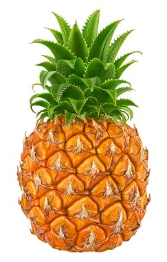 Bir ananas meyvesi beyaz arka planda izole edilmiş kesme yolu, tam derinlik