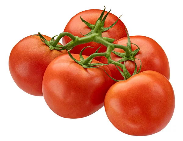 Branche Tomate Isolée Sur Fond Blanc Avec Chemin Coupe Profondeur — Photo
